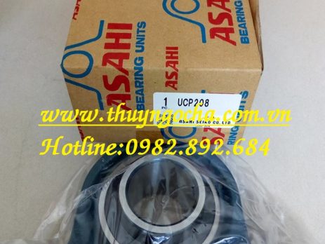 GỐI ĐỠ UCP213