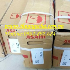 GỐI ĐỠ UCP316