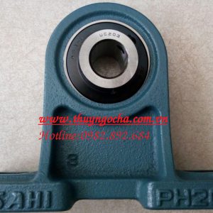GỐI ĐỠ UCPH203 ASAHI