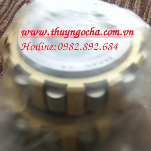 VÒNG BI LỆCH TÂM
