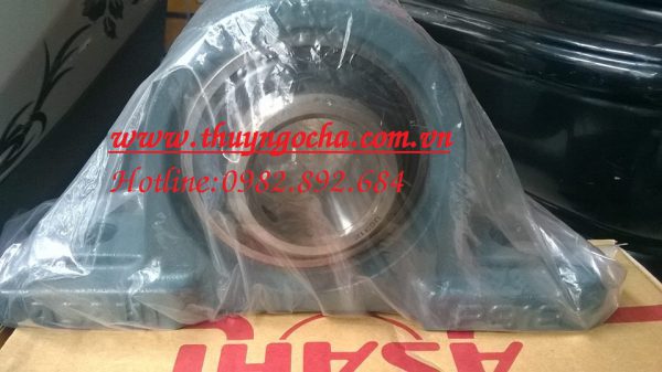 gối đỡ UCP312