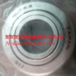 VÒNG BI NUTR17