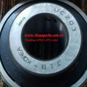 VÒNG BI UC203 JIB KOREA