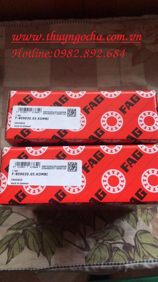VÒNG BI F-809030.05 FAG