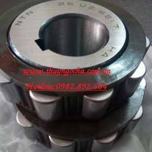 VÒNG BI LỆCH TÂM 25UZ8517