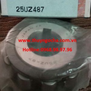 VÒNG BI LỆCH TÂM-25UZ487