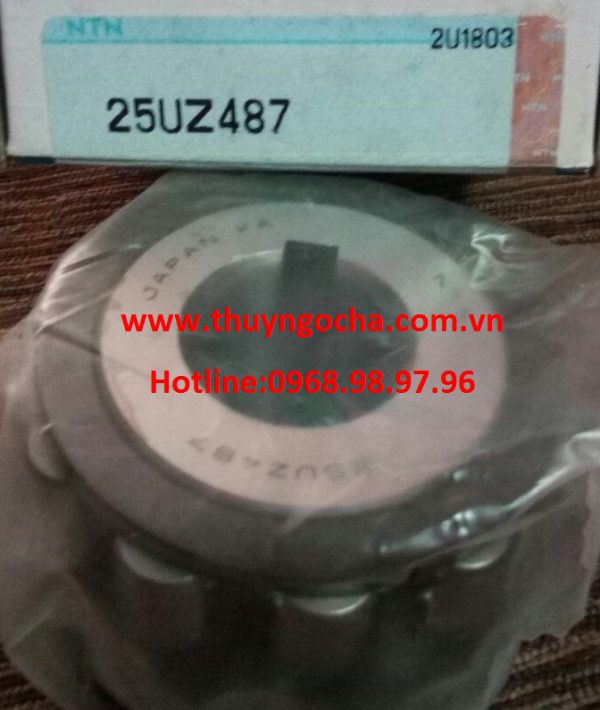 VÒNG BI LỆCH TÂM-25UZ487