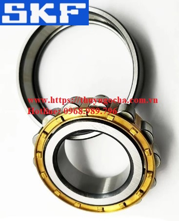 Vòng bi N 319-E-C-M Bạc đạn - Ổ bi