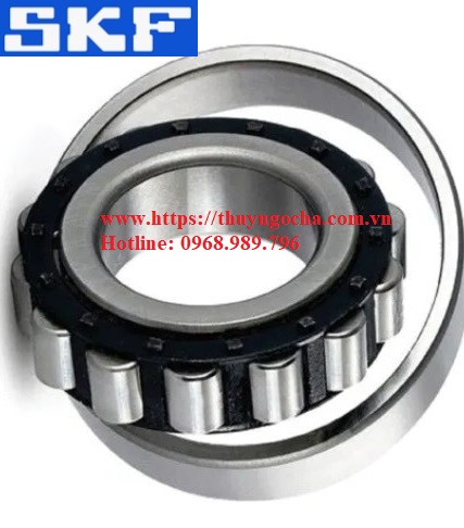 Vòng bi N 320-E-C-P Bạc đạn - Ổ bi