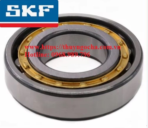 Vòng bi NU 1064-E-C-M Bạc đạn - Ổ bi