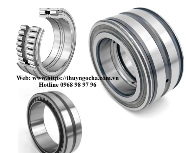 Vòng bi Bạc đạn SL01 , SL 02, SL04 , NNF