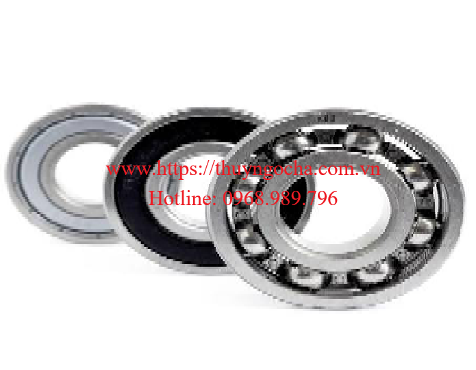 Bạc đạn, ổ bi, vòng bi 61700