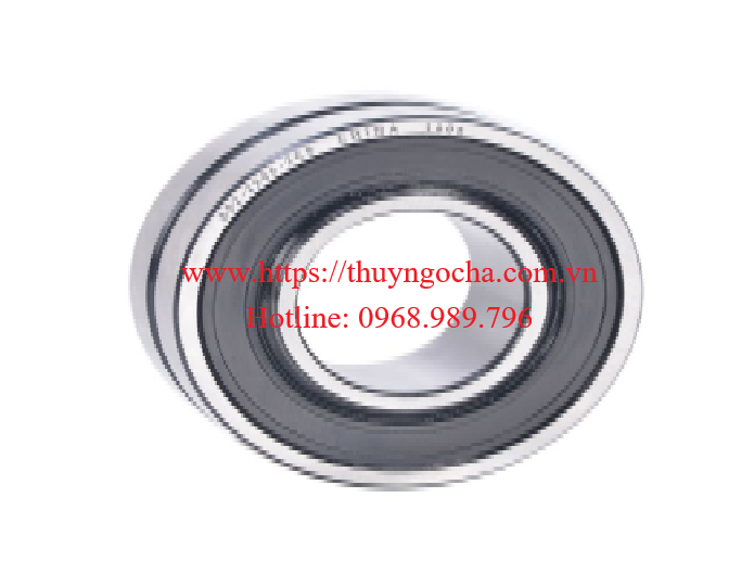 Bạc đạn, ổ bi, vòng bi BS2 2206 2CS-VT143