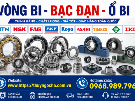 bạc đạn chính xác thương hiệu nào tố